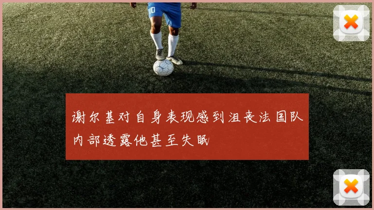 谢尔基对自身表现感到沮丧法国队内部透露他甚至失眠