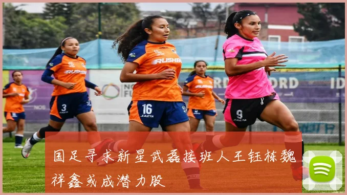 国足寻求新星武磊接班人王钰栋魏祥鑫或成潜力股
