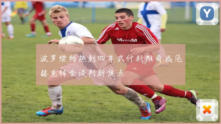 波罗续约热刺四年武什科维奇成范赫克转会谈判新焦点