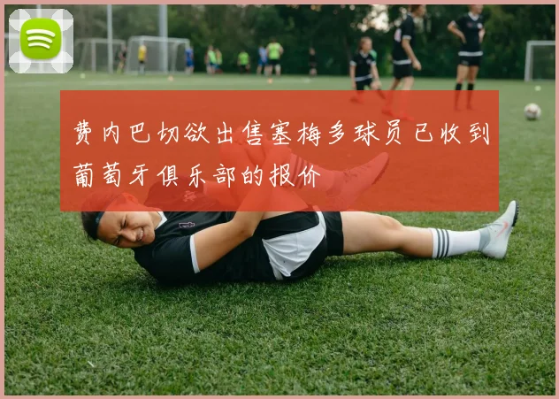 费内巴切欲出售塞梅多球员已收到葡萄牙俱乐部的报价
