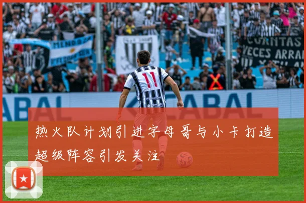 热火队计划引进字母哥与小卡打造超级阵容引发关注